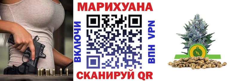где купить   Трёхгорный  Конопля сатива 
